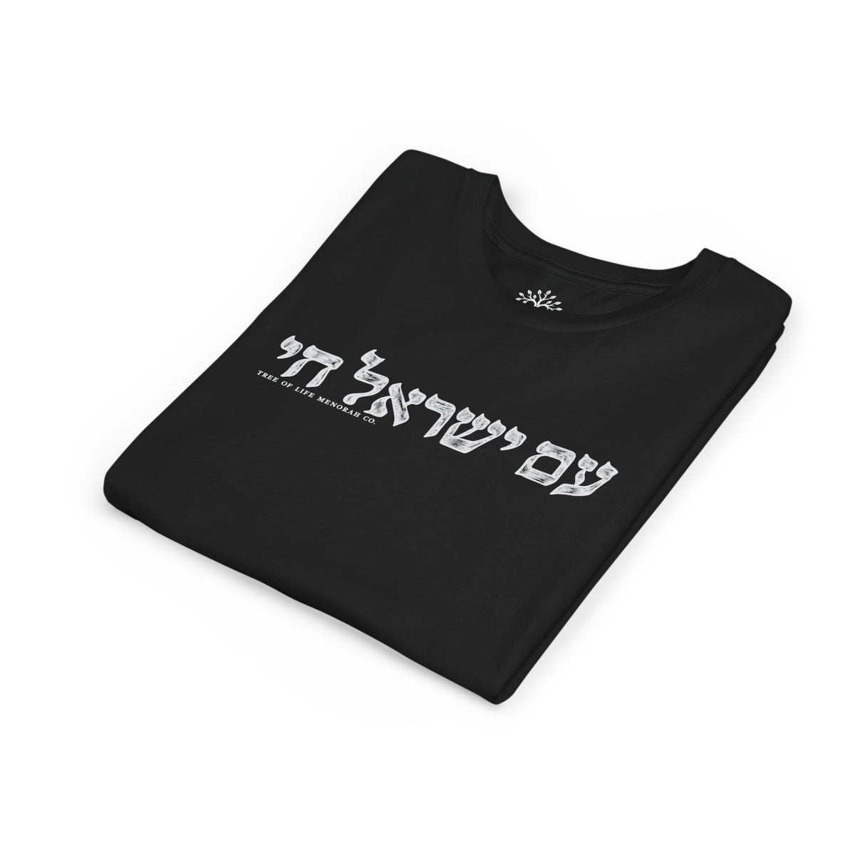 Youth T-Shirt — Am Yisrael Chai