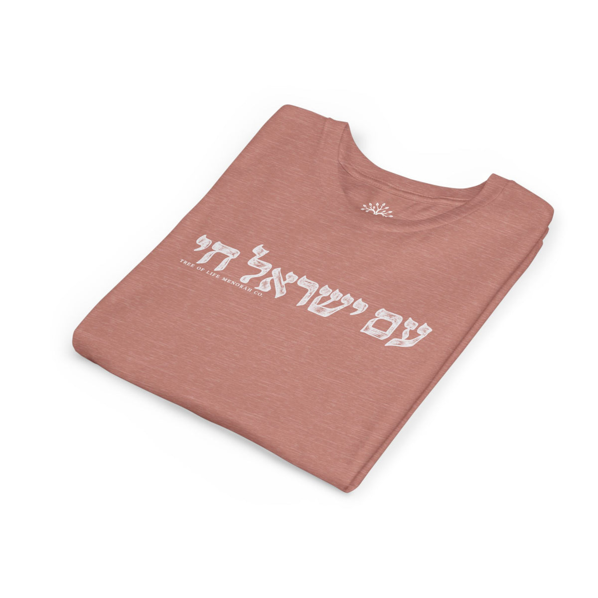 Youth T-Shirt — Am Yisrael Chai