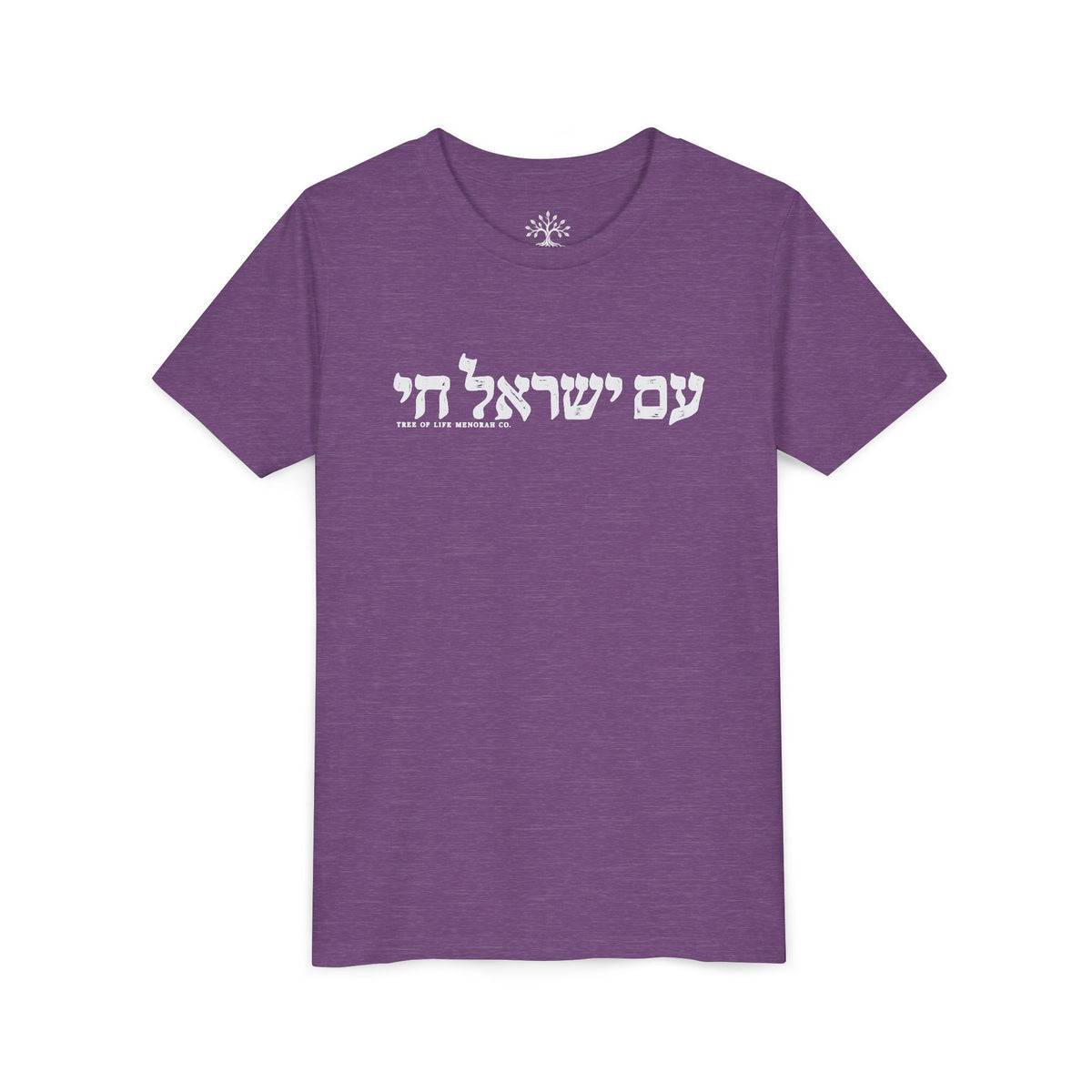 Youth T-Shirt — Am Yisrael Chai