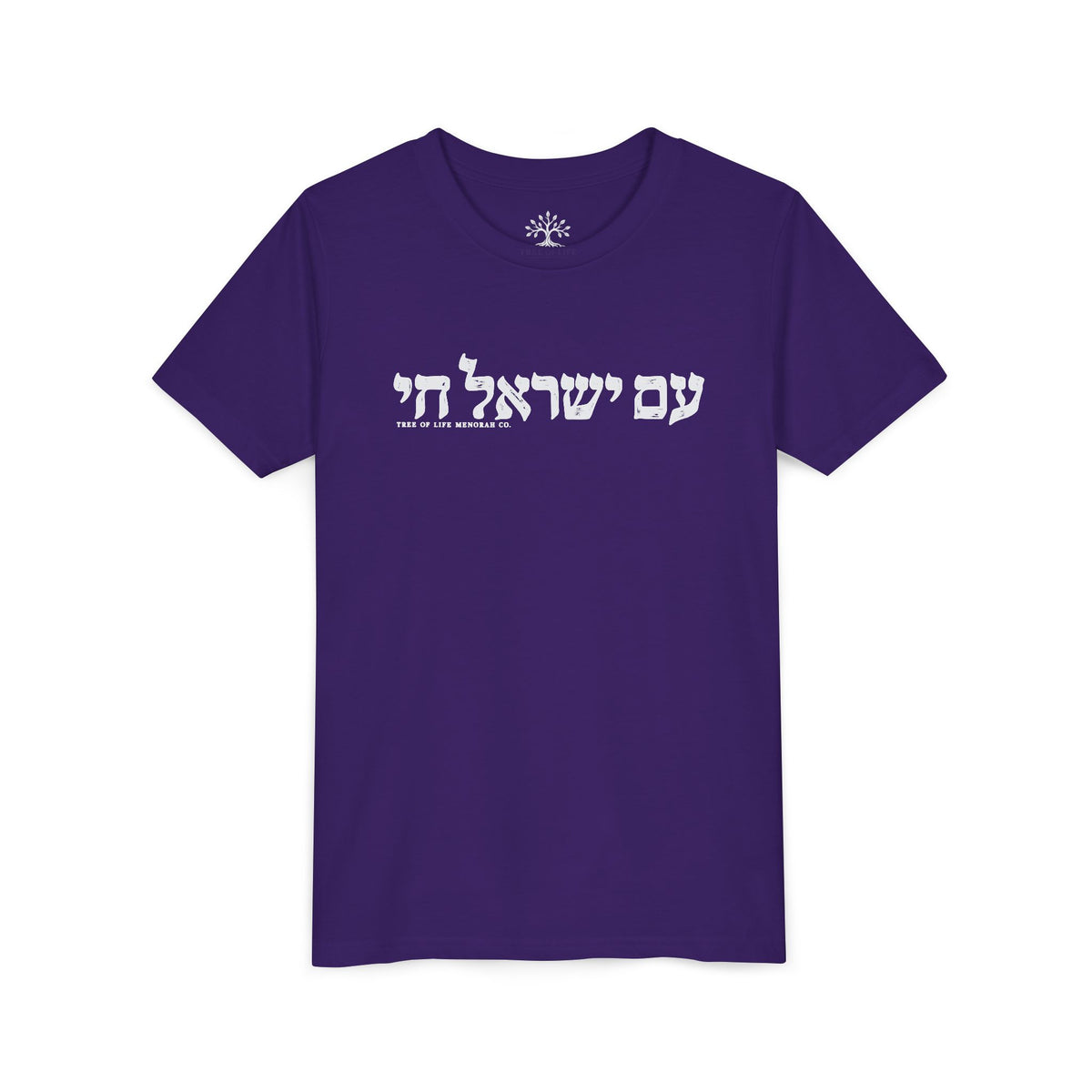Youth T-Shirt — Am Yisrael Chai