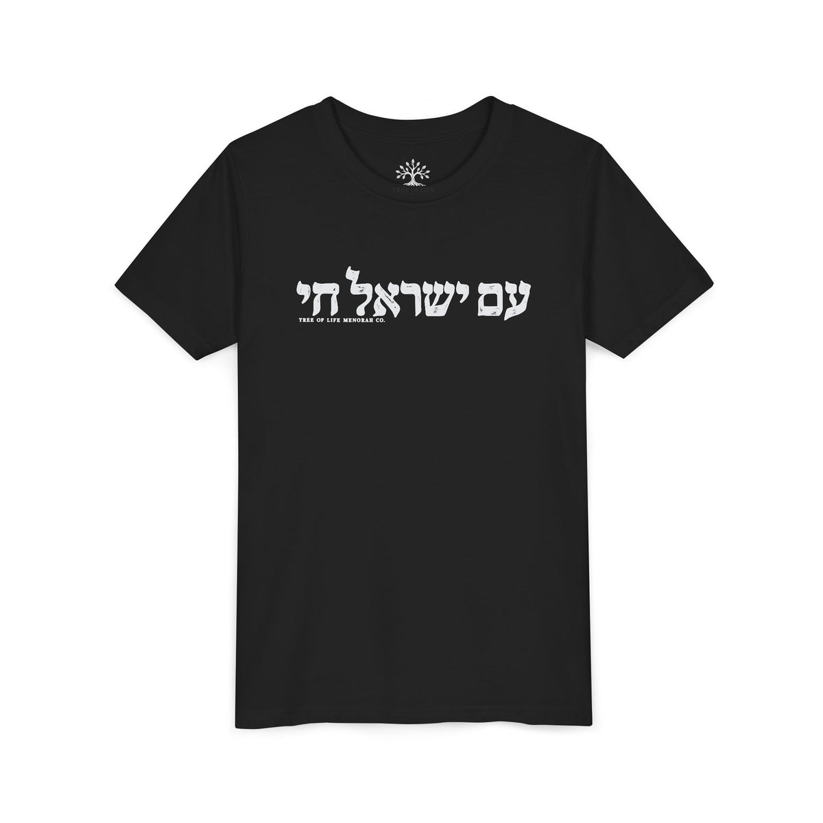 Youth T-Shirt — Am Yisrael Chai