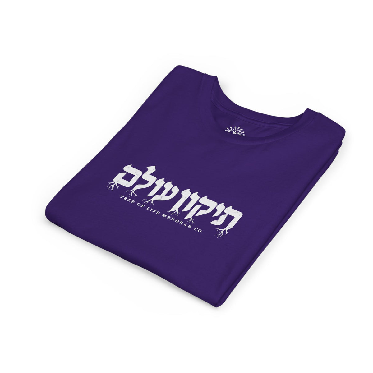 Youth T-Shirt — Tikkun Olam