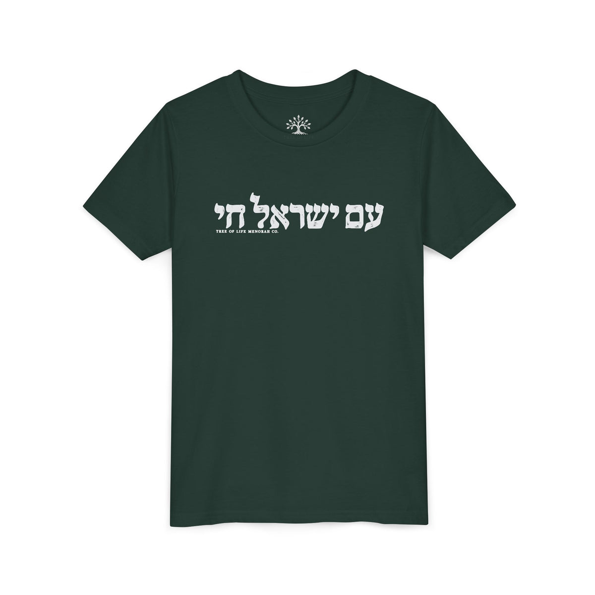 Youth T-Shirt — Am Yisrael Chai