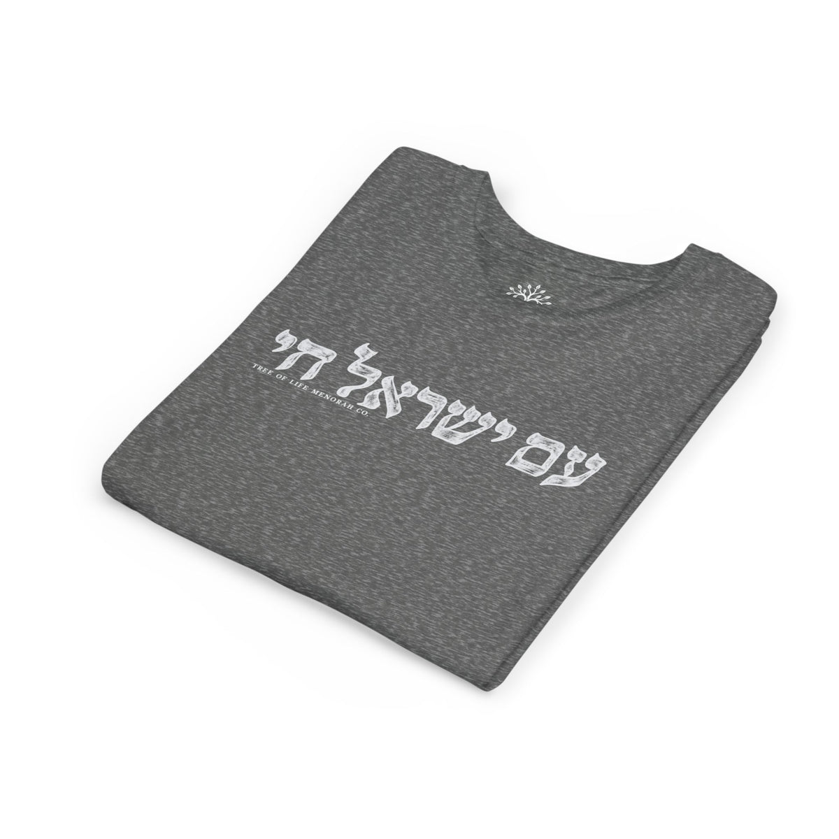 Youth T-Shirt — Am Yisrael Chai
