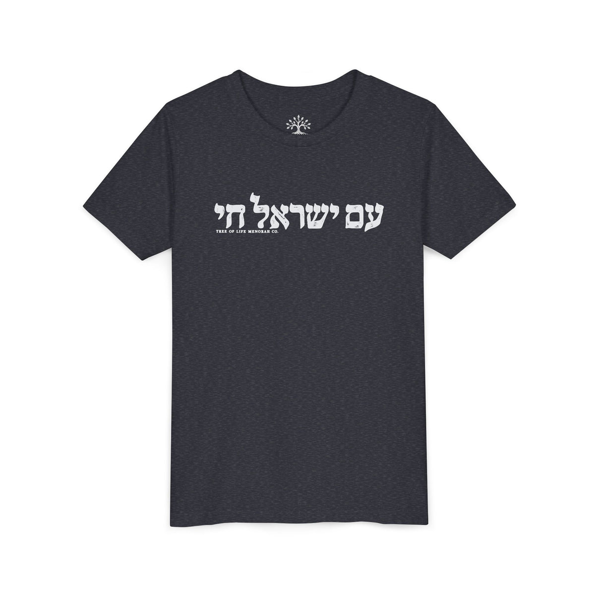 Youth T-Shirt — Am Yisrael Chai