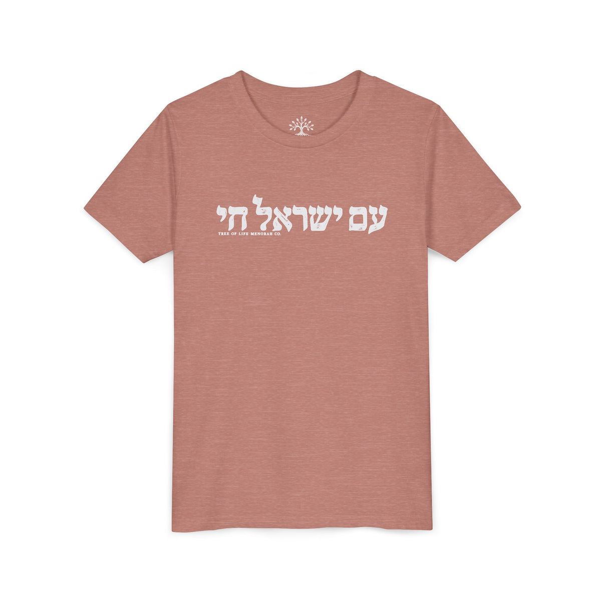 Youth T-Shirt — Am Yisrael Chai