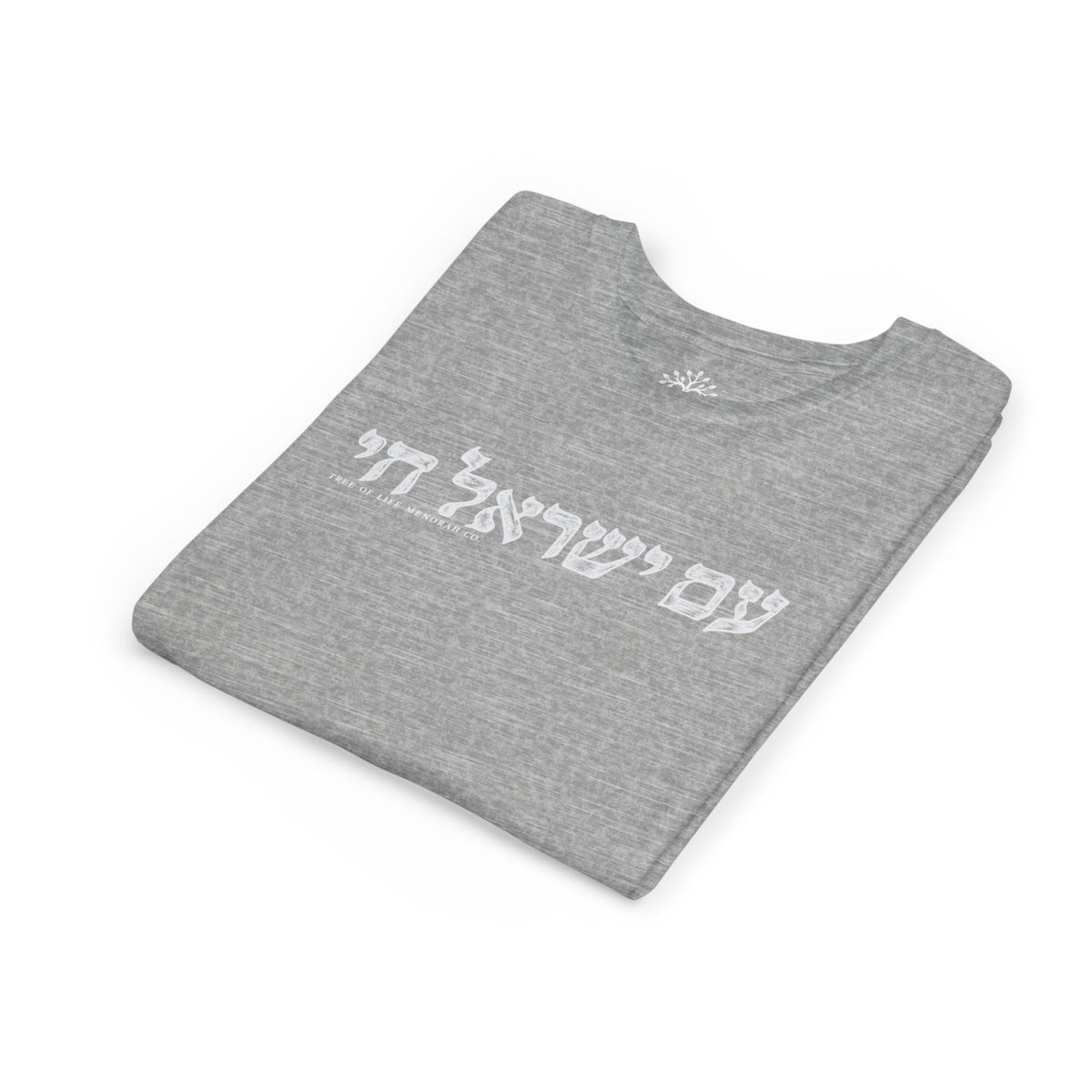 Youth T-Shirt — Am Yisrael Chai