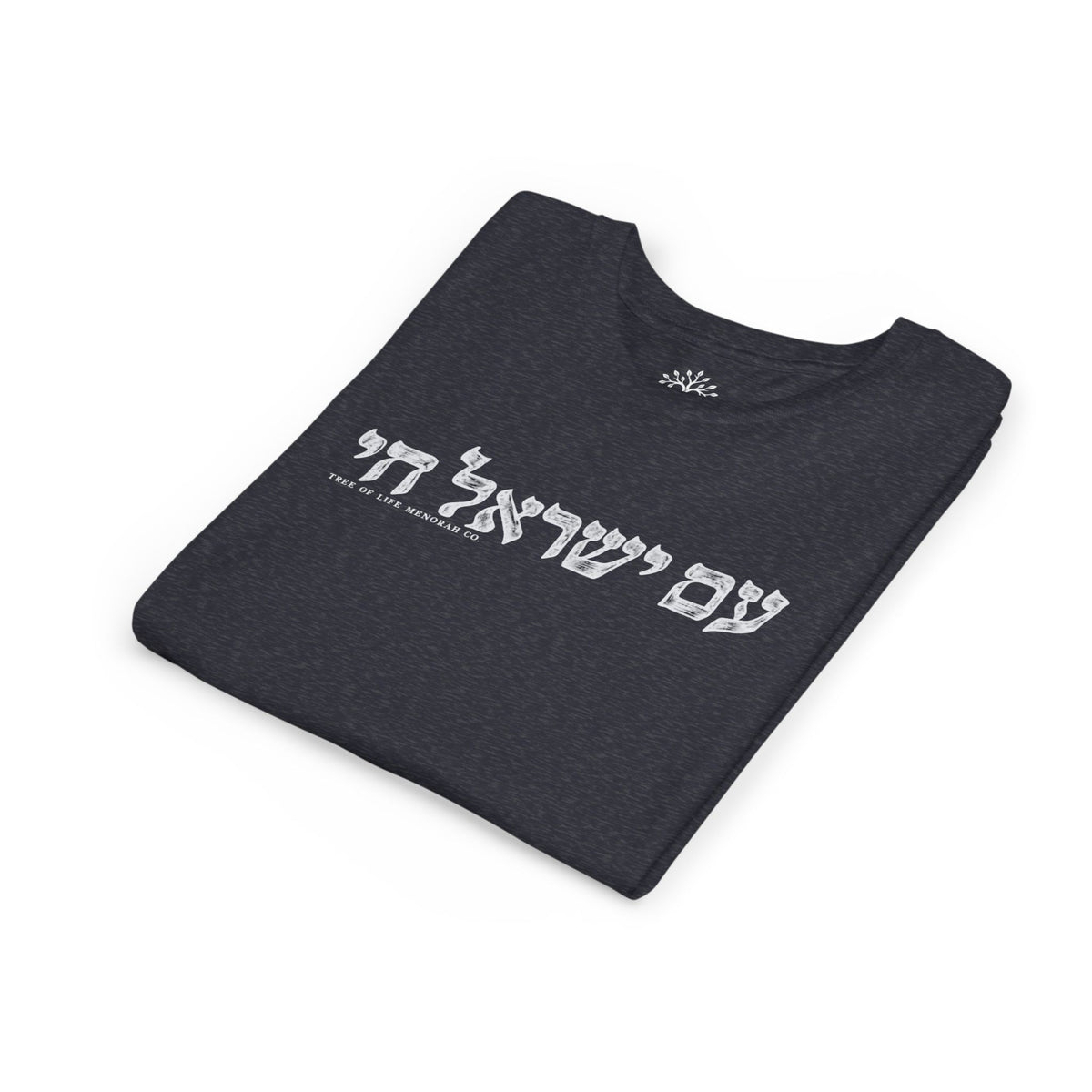 Youth T-Shirt — Am Yisrael Chai