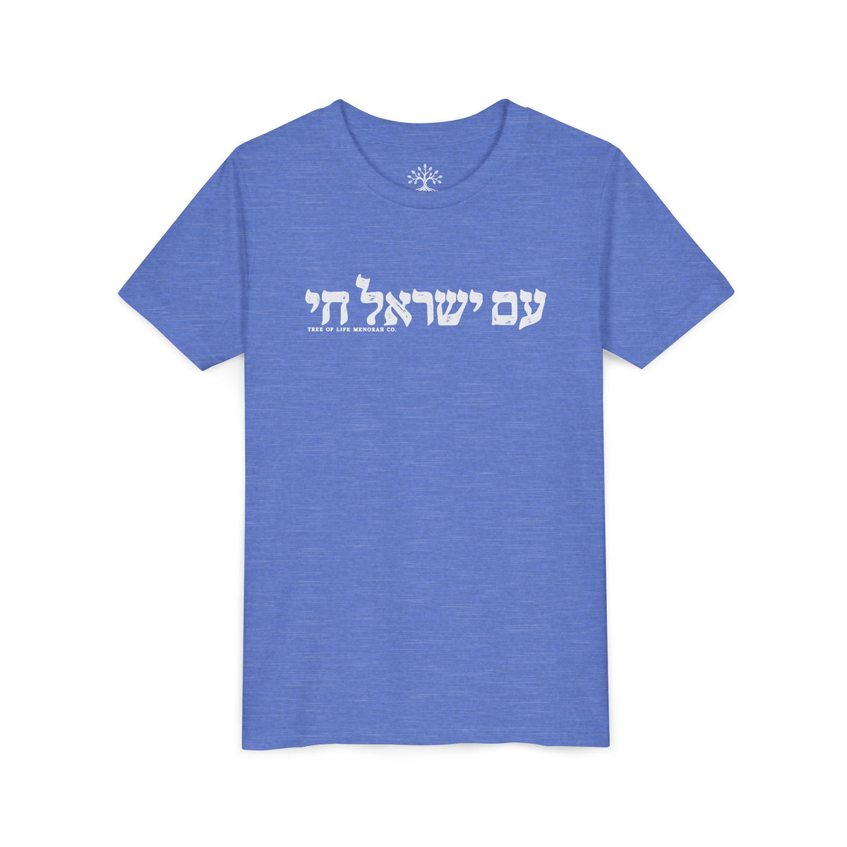 Youth T-Shirt — Am Yisrael Chai