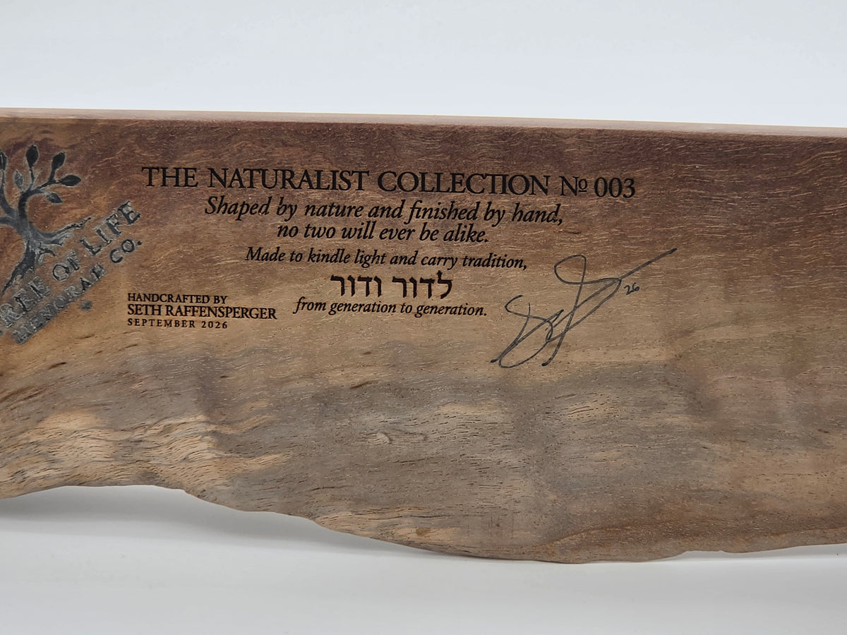 The Naturalist Collection — No. 003 | One-of-a-Kind Handcrafted Live-Edge Walnut Oil Menorah