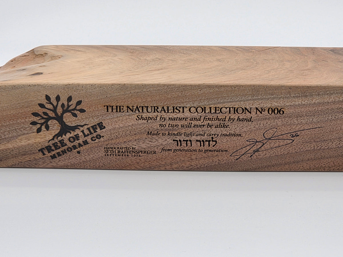 The Naturalist Collection — No. 006 | One-of-a-Kind Handcrafted Live-Edge Walnut Oil Menorah