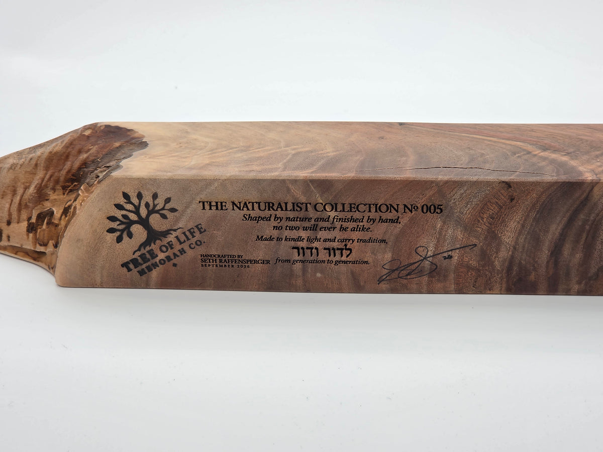 The Naturalist Collection — No. 005| One-of-a-Kind Handcrafted Live-Edge Walnut Oil Menorah