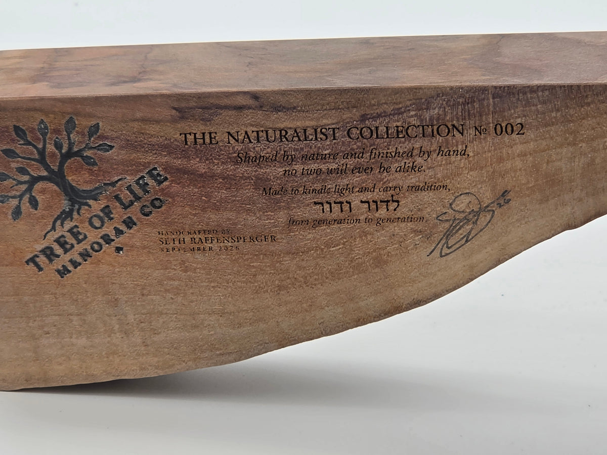 The Naturalist Collection — No. 002 | One-of-a-Kind Handcrafted Live-Edge Walnut Oil Menorah